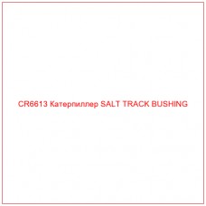 CR6613 Катерпиллер SALT TRACK BUSHING