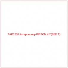 TAK5250 Катерпиллер PISTON KIT(SEE T)