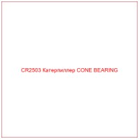 CR2503 Катерпиллер CONE BEARING