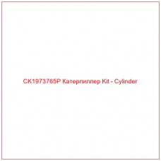 CK1973765P Катерпиллер Kit - Cylinder - Купите онлайн