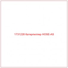 1731228 Катерпиллер HOSE-AS - Купите онлайн