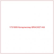 1731809 Катерпиллер BRACKET-AS - Купите онлайн
