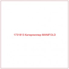 1731813 Катерпиллер MANIFOLD - Купите онлайн