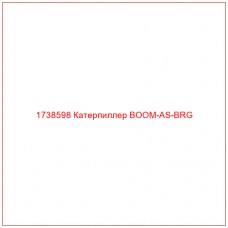 Купить запчасти 1738598 Катерпиллер BOOM-AS-BRG онлайн — гарантированное качество. Этот продукт поможет улучшить работу вашей техники, обеспечив её высокую производительность и долговечность.