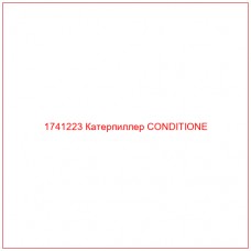 Купить запчасти 1741223 Катерпиллер CONDITIONE онлайн — гарантированное качество. Этот продукт поможет улучшить работу вашей техники, обеспечив её высокую производительность и долговечность.