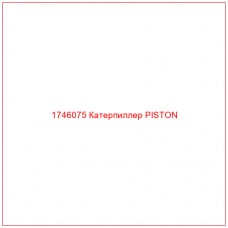 Купить запчасти 1746075 Катерпиллер PISTON онлайн — гарантированное качество. Этот продукт поможет улучшить работу вашей техники, обеспечив её высокую производительность и долговечность.