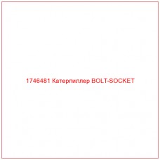 Купить запчасти 1746481 Катерпиллер BOLT-SOCKET онлайн — гарантированное качество. Этот продукт поможет улучшить работу вашей техники, обеспечив её высокую производительность и долговечность.