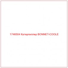Купить запчасти 1746504 Катерпиллер BONNET-COOLE онлайн — гарантированное качество. Этот продукт поможет улучшить работу вашей техники, обеспечив её высокую производительность и долговечность.