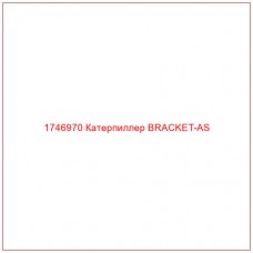 Купить запчасти 1746970 Катерпиллер BRACKET-AS онлайн — гарантированное качество. Этот продукт поможет улучшить работу вашей техники, обеспечив её высокую производительность и долговечность.