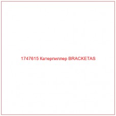 Купить запчасти 1747615 Катерпиллер BRACKETAS онлайн — гарантированное качество. Этот продукт поможет улучшить работу вашей техники, обеспечив её высокую производительность и долговечность.