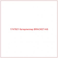 Купить запчасти 1747921 Катерпиллер BRACKET-AS онлайн — гарантированное качество. Этот продукт поможет улучшить работу вашей техники, обеспечив её высокую производительность и долговечность.