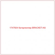 Купить запчасти 1747924 Катерпиллер BRACKET-AS онлайн — гарантированное качество. Этот продукт поможет улучшить работу вашей техники, обеспечив её высокую производительность и долговечность.