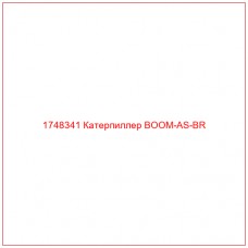 Купить запчасти 1748341 Катерпиллер BOOM-AS-BR онлайн — гарантированное качество. Этот продукт поможет улучшить работу вашей техники, обеспечив её высокую производительность и долговечность.