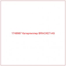 Купить запчасти 1748987 Катерпиллер BRACKET-AS онлайн — гарантированное качество. Этот продукт поможет улучшить работу вашей техники, обеспечив её высокую производительность и долговечность.