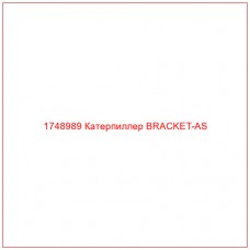 Купить запчасти 1748989 Катерпиллер BRACKET-AS онлайн — гарантированное качество. Этот продукт поможет улучшить работу вашей техники, обеспечив её высокую производительность и долговечность.