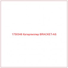 Купить запчасти 1750346 Катерпиллер BRACKET-AS онлайн — гарантированное качество. Этот продукт поможет улучшить работу вашей техники, обеспечив её высокую производительность и долговечность.