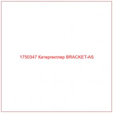 Купить запчасти 1750347 Катерпиллер BRACKET-AS онлайн — гарантированное качество. Этот продукт поможет улучшить работу вашей техники, обеспечив её высокую производительность и долговечность.