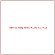 Купить запчасти 1750505 Катерпиллер CORE-AS-RADI онлайн — гарантированное качество. Этот продукт поможет улучшить работу вашей техники, обеспечив её высокую производительность и долговечность.