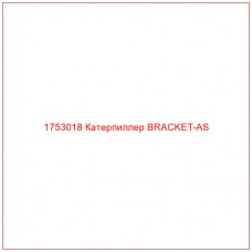 Купить запчасти 1753018 Катерпиллер BRACKET-AS онлайн — гарантированное качество. Этот продукт поможет улучшить работу вашей техники, обеспечив её высокую производительность и долговечность.