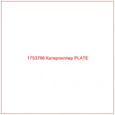 Купить запчасти 1753796 Катерпиллер PLATE онлайн — гарантированное качество. Этот продукт поможет улучшить работу вашей техники, обеспечив её высокую производительность и долговечность.