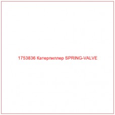 Купить запчасти 1753836 Катерпиллер SPRING-VALVE онлайн — гарантированное качество. Этот продукт поможет улучшить работу вашей техники, обеспечив её высокую производительность и долговечность.
