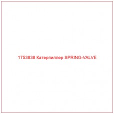 Купить запчасти 1753838 Катерпиллер SPRING-VALVE онлайн — гарантированное качество. Этот продукт поможет улучшить работу вашей техники, обеспечив её высокую производительность и долговечность.