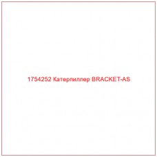 Купить запчасти 1754252 Катерпиллер BRACKET-AS онлайн — гарантированное качество. Этот продукт поможет улучшить работу вашей техники, обеспечив её высокую производительность и долговечность.