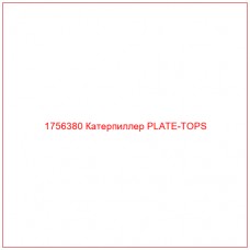 Купить запчасти 1756380 Катерпиллер PLATE-TOPS онлайн — гарантированное качество. Этот продукт поможет улучшить работу вашей техники, обеспечив её высокую производительность и долговечность.
