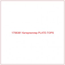 Купить запчасти 1756381 Катерпиллер PLATE-TOPS онлайн — гарантированное качество. Этот продукт поможет улучшить работу вашей техники, обеспечив её высокую производительность и долговечность.