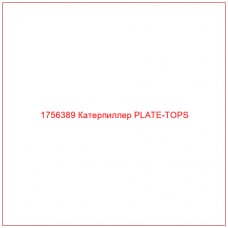 Купить запчасти 1756389 Катерпиллер PLATE-TOPS онлайн — гарантированное качество. Этот продукт поможет улучшить работу вашей техники, обеспечив её высокую производительность и долговечность.