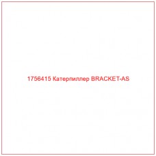 Купить запчасти 1756415 Катерпиллер BRACKET-AS онлайн — гарантированное качество. Этот продукт поможет улучшить работу вашей техники, обеспечив её высокую производительность и долговечность.