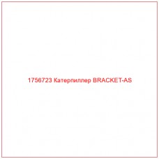 Купить запчасти 1756723 Катерпиллер BRACKET-AS онлайн — гарантированное качество. Этот продукт поможет улучшить работу вашей техники, обеспечив её высокую производительность и долговечность.