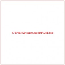 Купить запчасти 1757063 Катерпиллер BRACKETAS онлайн — гарантированное качество. Этот продукт поможет улучшить работу вашей техники, обеспечив её высокую производительность и долговечность.