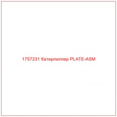 Купить запчасти 1757231 Катерпиллер PLATE-ASM онлайн — гарантированное качество. Этот продукт поможет улучшить работу вашей техники, обеспечив её высокую производительность и долговечность.