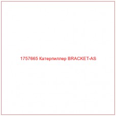 Купить запчасти 1757665 Катерпиллер BRACKET-AS онлайн — гарантированное качество. Этот продукт поможет улучшить работу вашей техники, обеспечив её высокую производительность и долговечность.