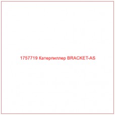 Купить запчасти 1757719 Катерпиллер BRACKET-AS онлайн — гарантированное качество. Этот продукт поможет улучшить работу вашей техники, обеспечив её высокую производительность и долговечность.