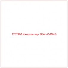 Купить запчасти 1757903 Катерпиллер SEAL-O-RING онлайн — гарантированное качество. Этот продукт поможет улучшить работу вашей техники, обеспечив её высокую производительность и долговечность.
